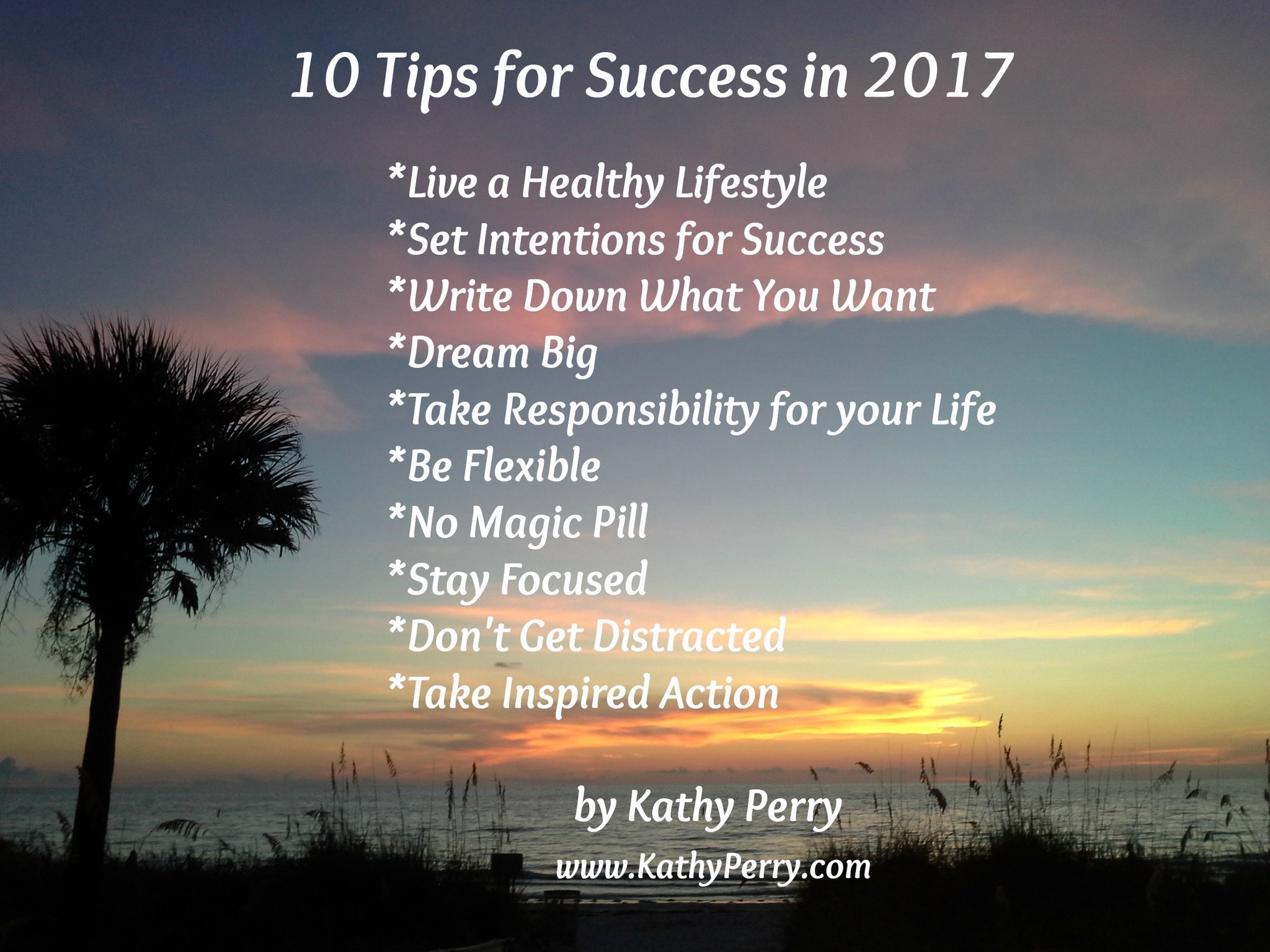 10 Tips For Success In 2017 Kathy Perry Social Media Digital 
