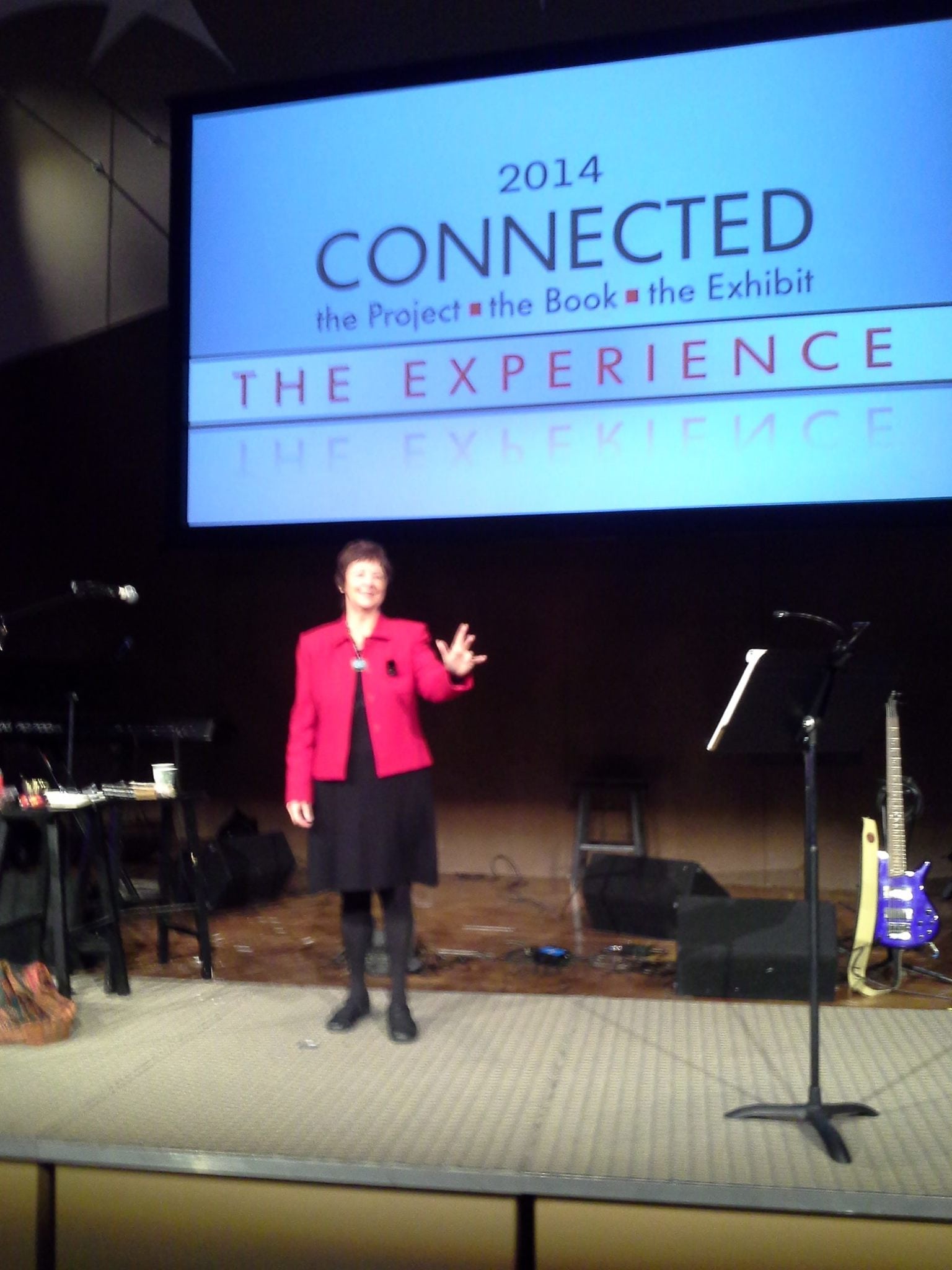 Kathy Perry at Connected Conference